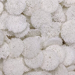 Sabudana Papad